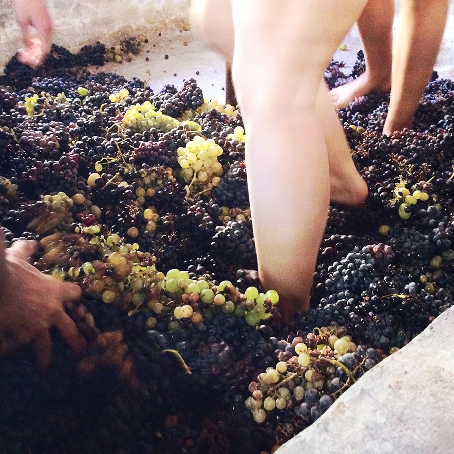 La production de vin bio