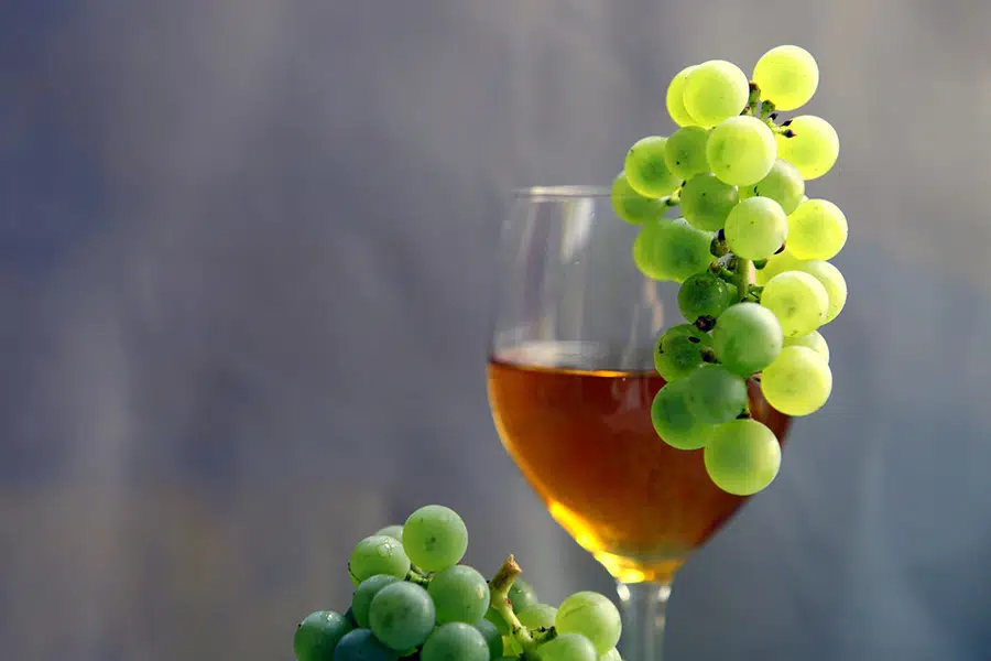 Le meilleur vin bio : sélection et avis