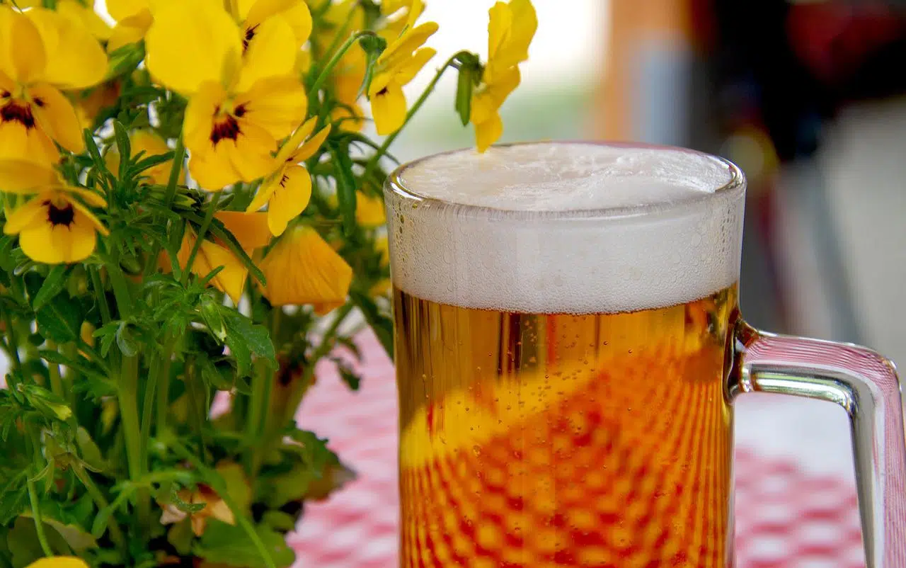 Bière belge : les pays les plus intéressants au monde
